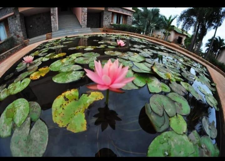 Krishna Heritage Resort Badami Zewnętrze zdjęcie